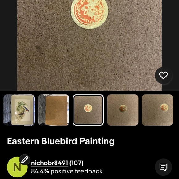 Vintage Bird Illustration Tin Box - Picture 3 of 3